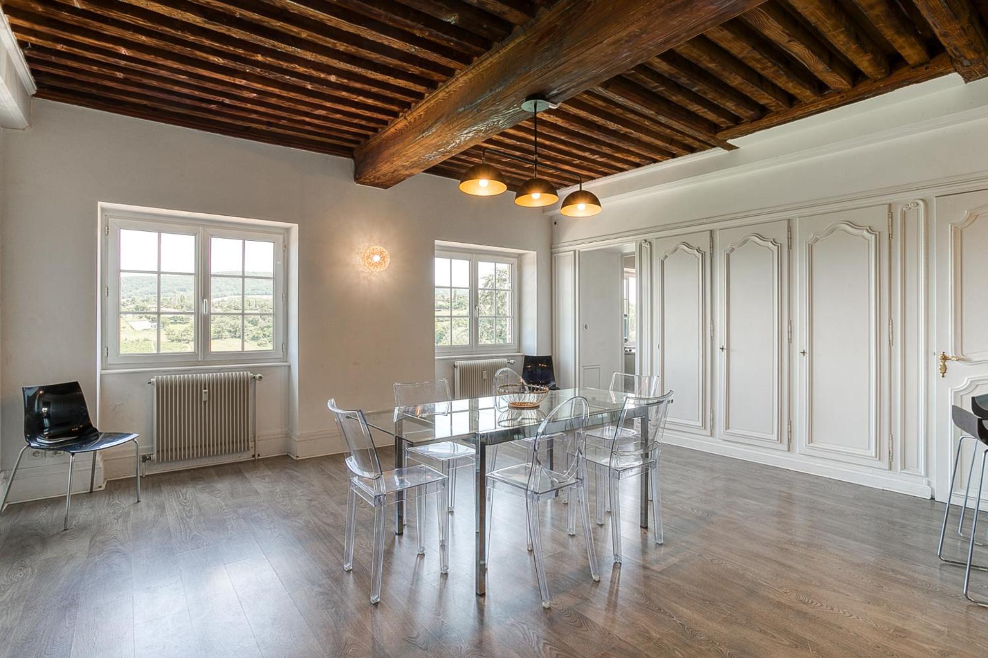 Sejourner Au Chateau De La Roue Grand Appartement Lissieu Zewnętrze zdjęcie