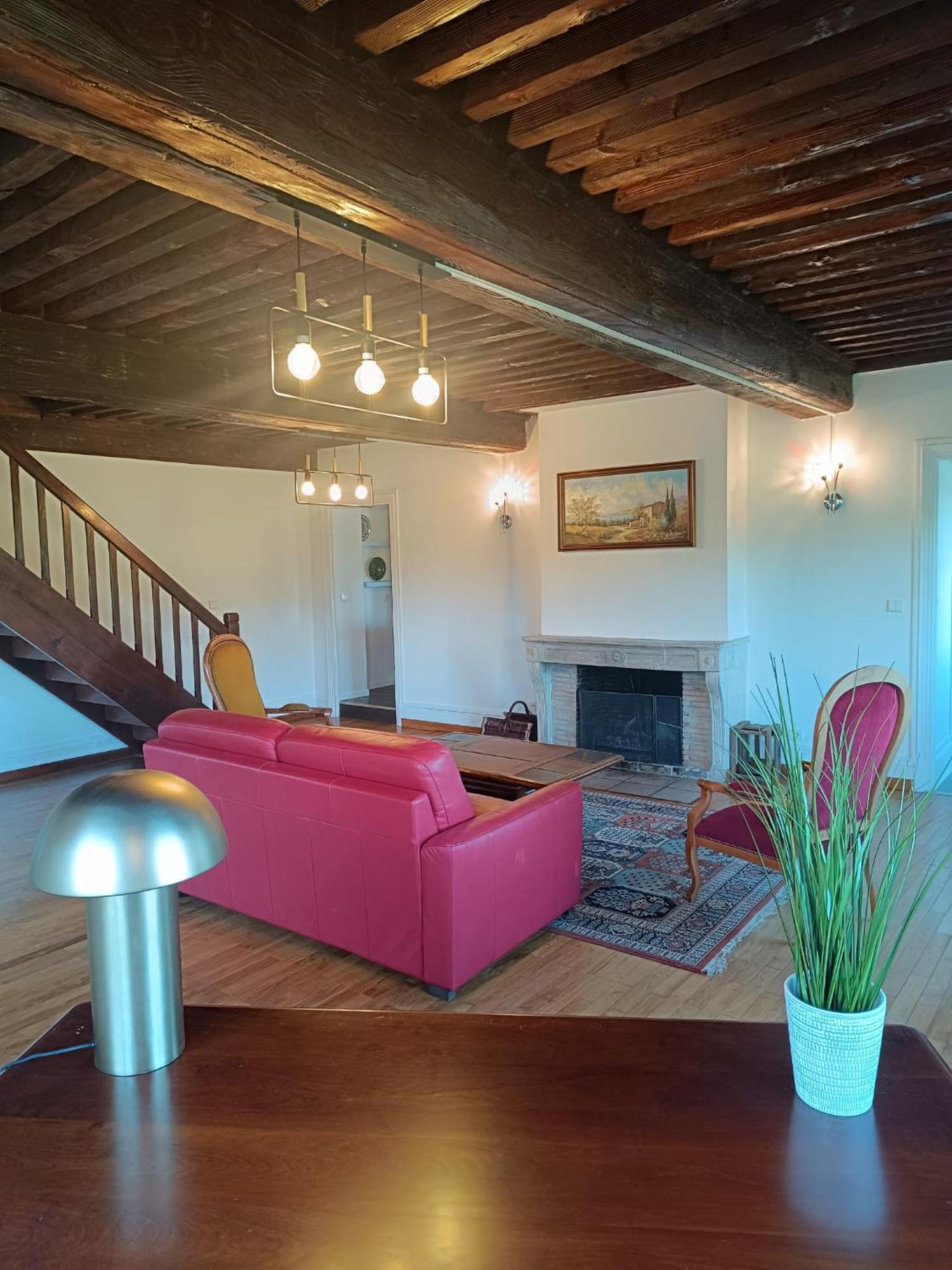 Sejourner Au Chateau De La Roue Grand Appartement Lissieu Zewnętrze zdjęcie