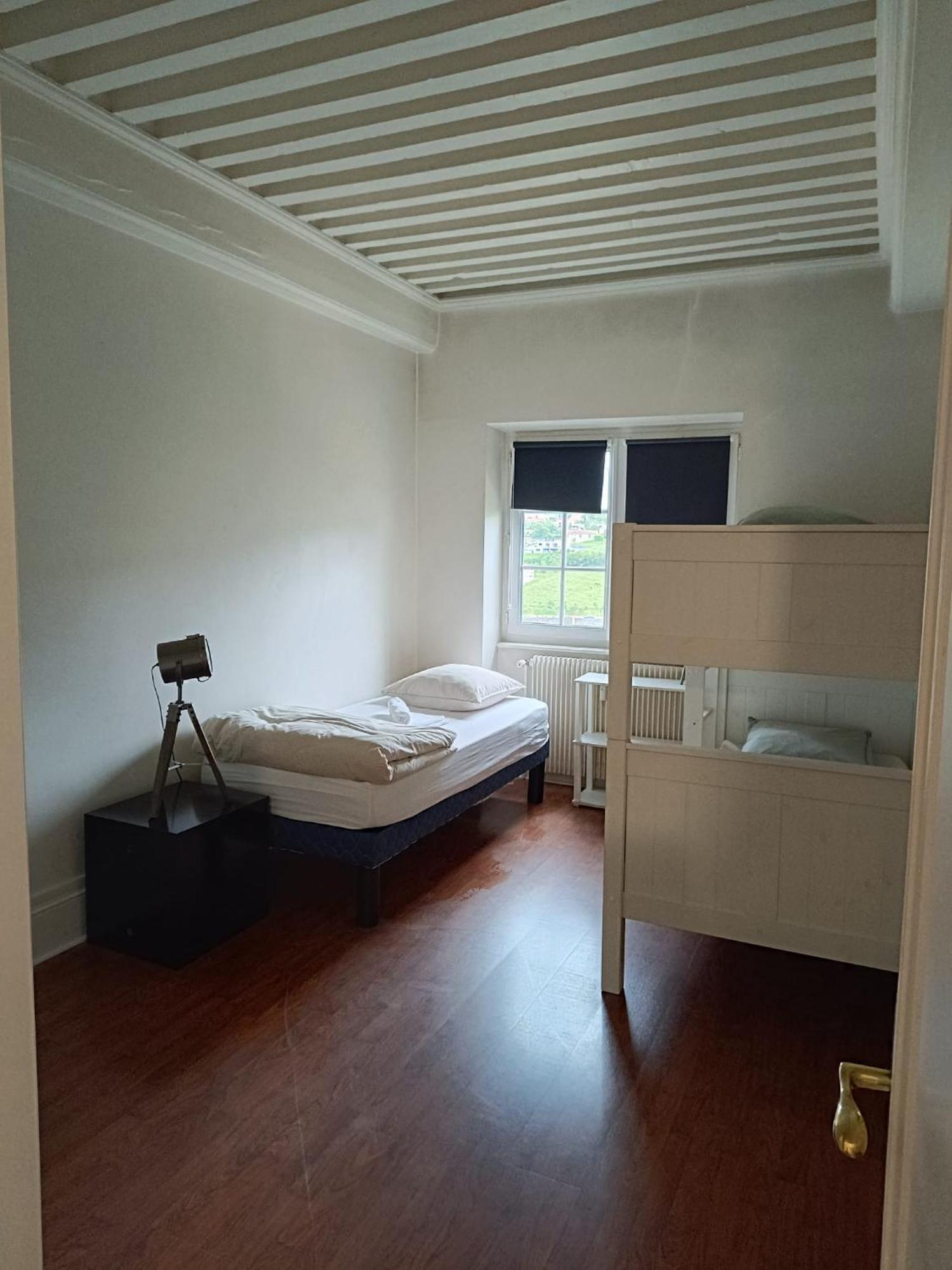 Sejourner Au Chateau De La Roue Grand Appartement Lissieu Zewnętrze zdjęcie